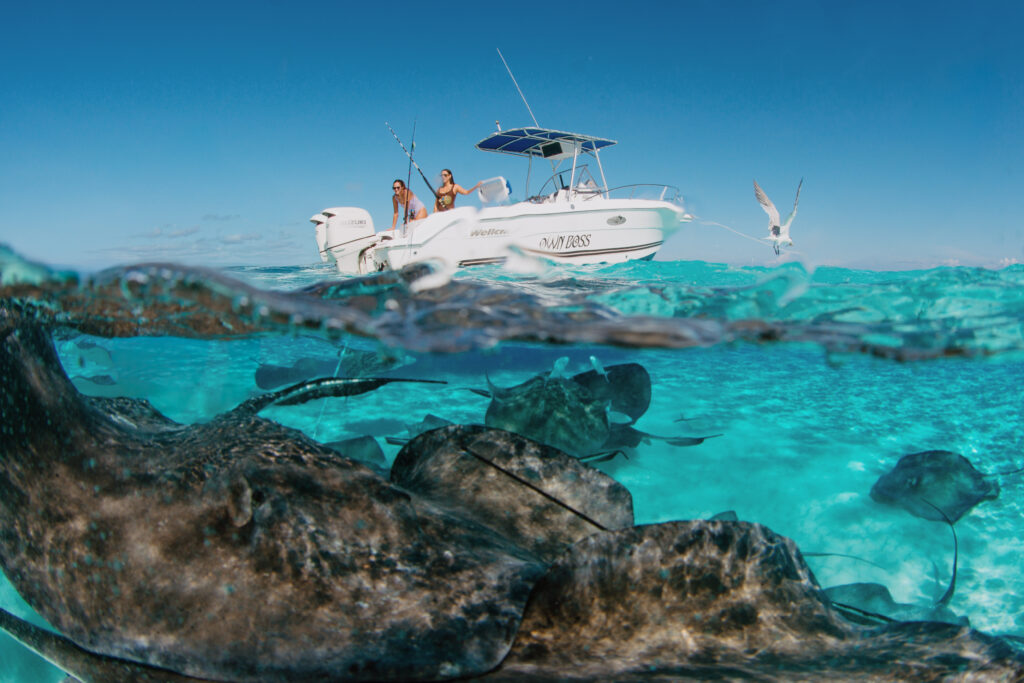 Private boat charters in Cayman Islands - Best Private Boat, Cayboss Charters