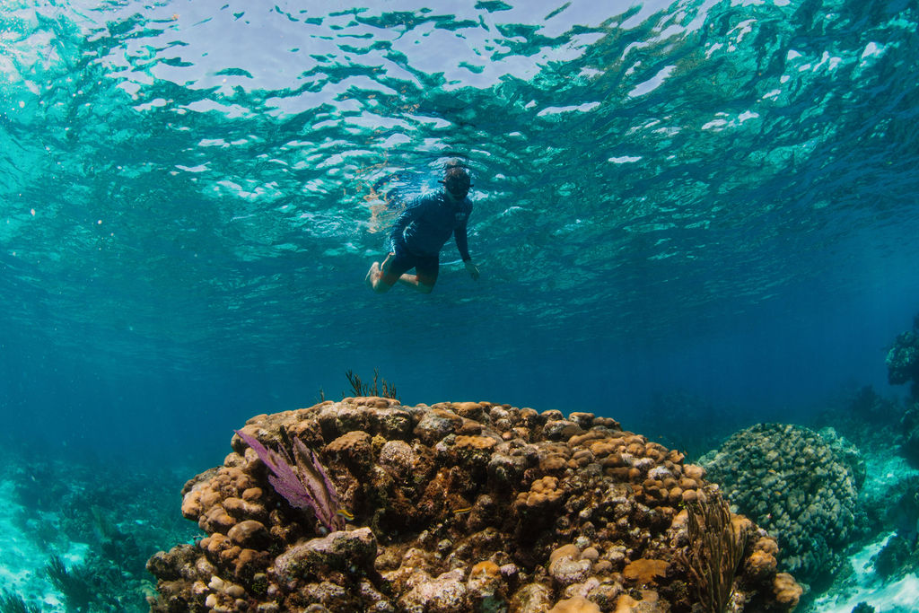 Cayboss charters Snorkeling coral reef